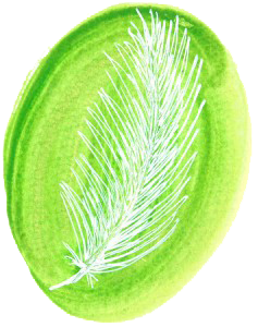 GreenFern